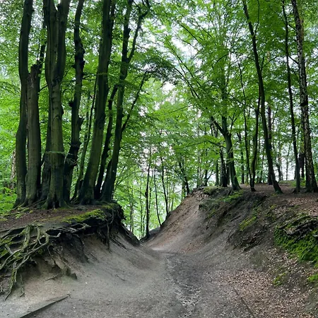 דירה Vintage House Z Widokiem Na Morze גדינייה